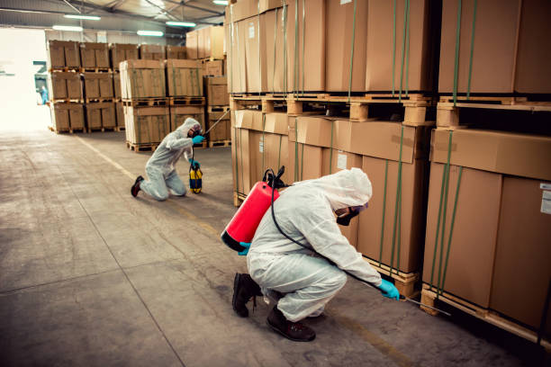 Best Affordable Pest Control Services  in Brockton, MA