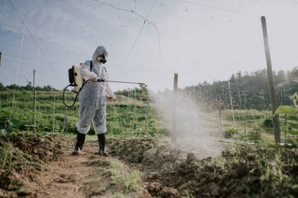 Pest Control Cost in Brockton, MA