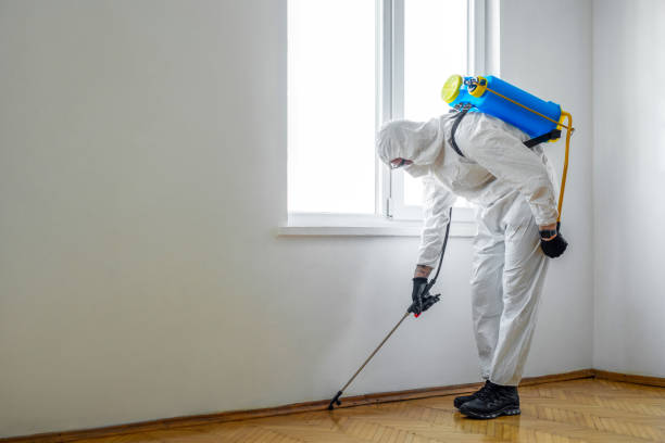 Brockton, MA Pest Control Company