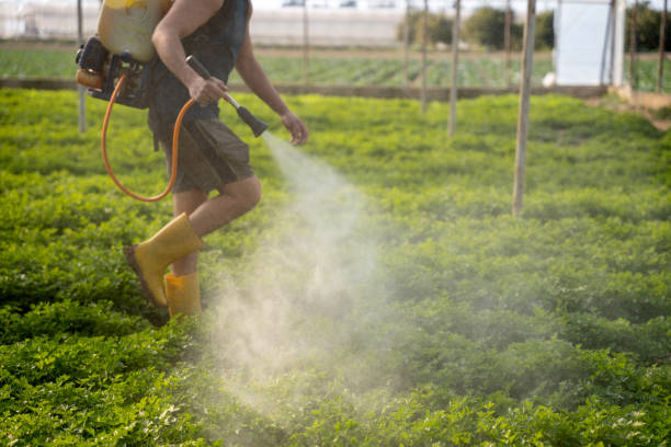 Best Pest Control Cost  in Brockton, MA