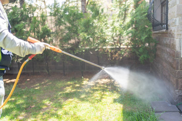 Best Bird Control  in Brockton, MA