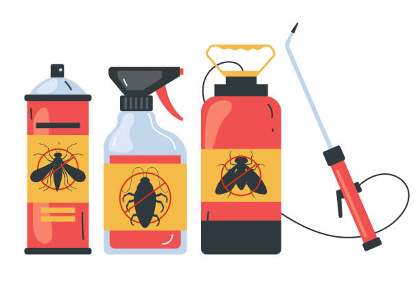 Best Spider Control Near Me  in Brockton, MA